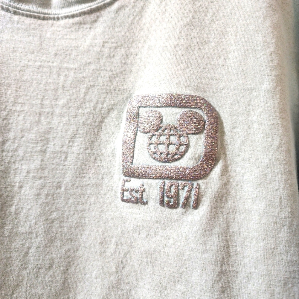 Disneyworld Mint Green Unisex Spirit Jersey - Picture 6 of 7